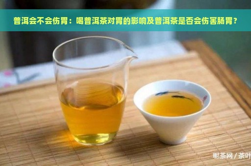 普洱会不会伤胃：喝普洱茶对胃的影响及普洱茶是否会伤害肠胃？