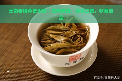 云南老班章普洱茶：古树茶香，醇厚口感，收藏佳品