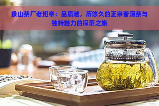 象山茶厂老班章：品质越，历悠久的正宗普洱茶与独特魅力的探索之旅