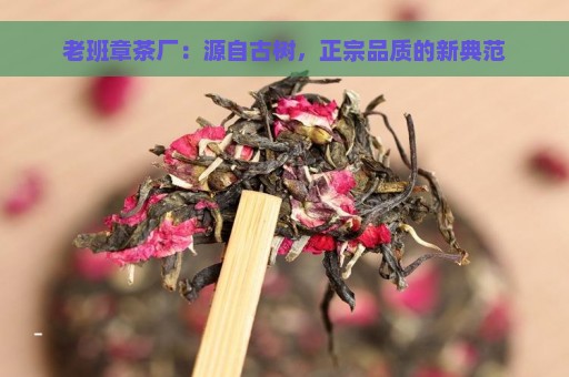 老班章茶厂：源自古树，正宗品质的新典范