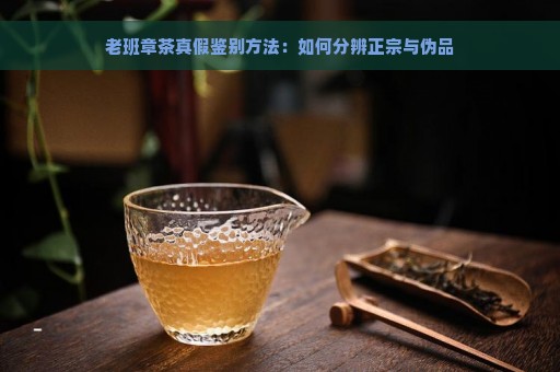 老班章茶真假鉴别方法：如何分辨正宗与伪品