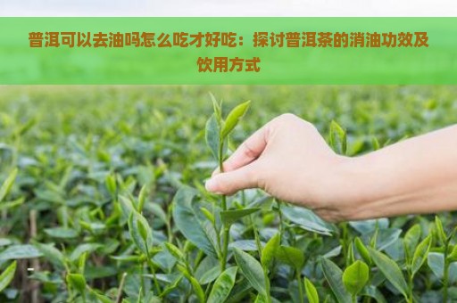 普洱可以去油吗怎么吃才好吃：探讨普洱茶的消油功效及饮用方式