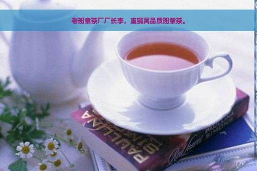 老班章茶厂厂长李，直销高品质班章茶。