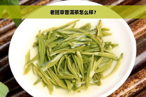 老班章普洱茶怎么样？