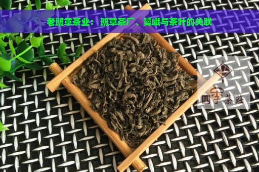 老班章茶业： 班章茶厂、曼峨与茶叶的关联