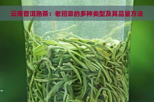 云南普洱熟茶：老班章的多种类型及其品鉴方法