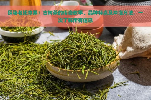 探秘老班章寨：古树茶的传奇故事、品种特点及冲泡方法，一次了解所有信息