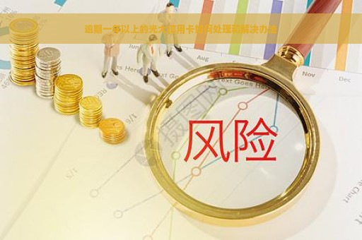 逾期一年以上的光大信用卡如何处理和解决办法