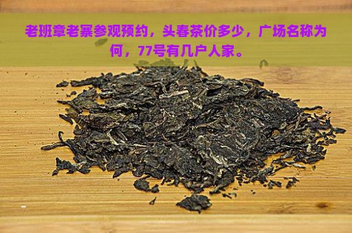 老班章老寨参观预约，头春茶价多少，广场名称为何，77号有几户人家。