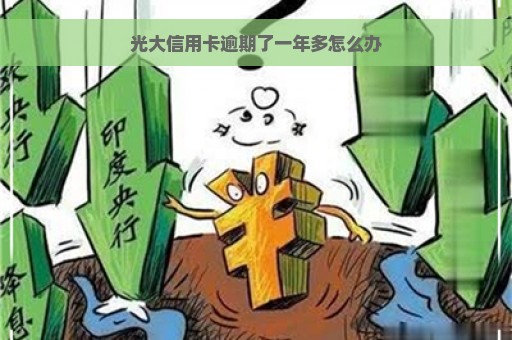 光大信用卡逾期了一年多怎么办