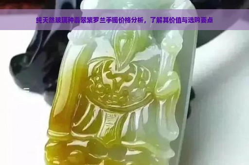 纯天然玻璃种翡翠紫罗兰手镯价格分析，了解其价值与选购要点