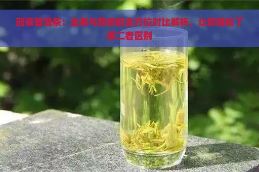 班章普洱茶：生茶与熟茶的全方位对比解析，让你轻松了解二者区别