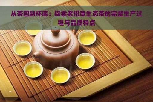 从茶园到杯底：探索老班章生态茶的完整生产过程与品质特点