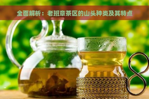 全面解析：老班章茶区的山头种类及其特点