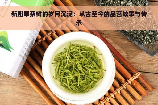 新班章茶树的岁月沉淀：从古至今的品茗故事与传承