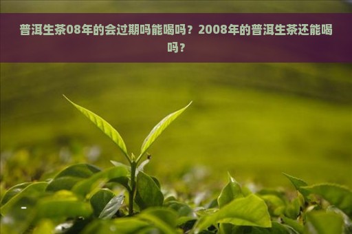 普洱生茶08年的会过期吗能喝吗？2008年的普洱生茶还能喝吗？