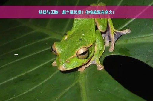 翡翠与玉髓：哪个更优质？价格差距有多大？