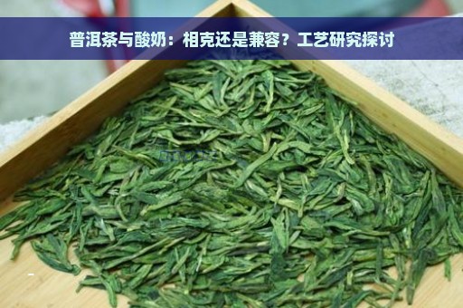 普洱茶与酸奶：相克还是兼容？工艺研究探讨