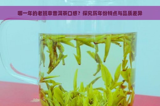 哪一年的老班章普洱茶口感？探究历年份特点与品质差异