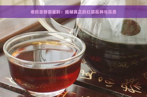 老班章砖茶鉴别：揭秘真正的红茶品种与品质