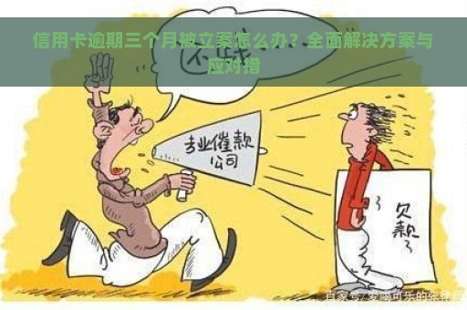 信用卡逾期三个月被立案怎么办？全面解决方案与应对措