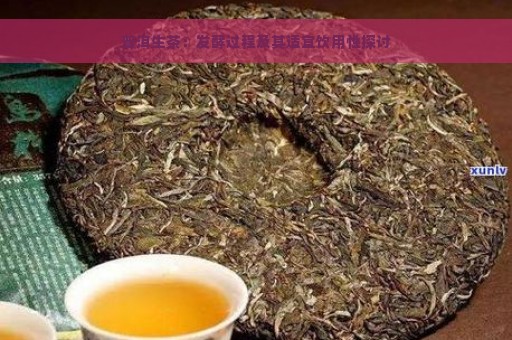 普洱生茶：发酵过程及其适宜饮用性探讨