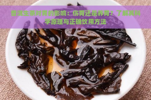 普洱生茶对胃的影响：伤胃还是养胃？了解其科学原理与正确饮用方法