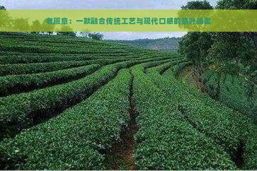 老班章：一款融合传统工艺与现代口感的茶叶瑰宝