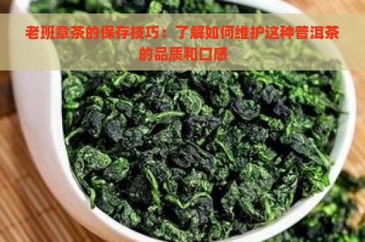 老班章茶的保存技巧：了解如何维护这种普洱茶的品质和口感