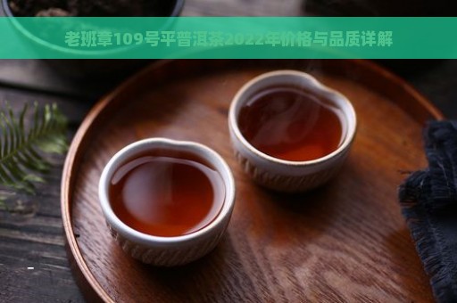 老班章109号平普洱茶2022年价格与品质详解