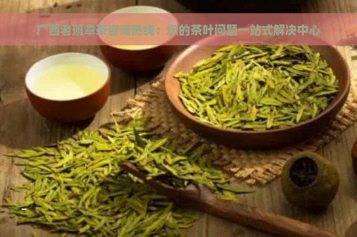 广西老班章茶咨询热线：您的茶叶问题一站式解决中心