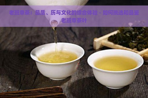 老班章茶：品质、历与文化的综合体验 - 如何挑选和品鉴老班章茶叶