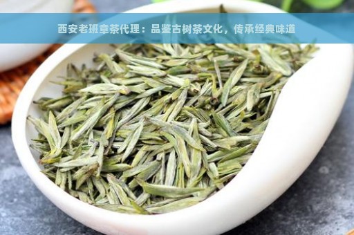 西安老班章茶代理：品鉴古树茶文化，传承经典味道