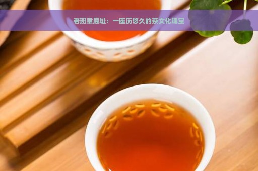 老班章原址：一座历悠久的茶文化瑰宝