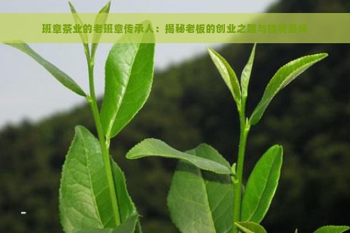 班章茶业的老班章传承人：揭秘老板的创业之路与独特品味