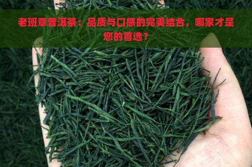 老班章普洱茶：品质与口感的完美结合，哪家才是您的首选？