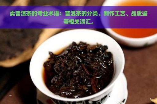 卖普洱茶的专业术语：普洱茶的分类、制作工艺、品质鉴等相关词汇。