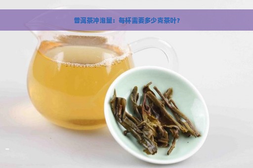 普洱茶冲泡量：每杯需要多少克茶叶？