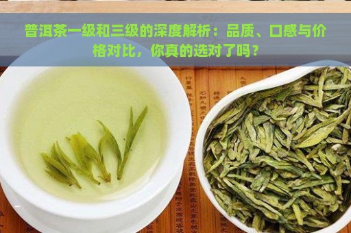 普洱茶一级和三级的深度解析：品质、口感与价格对比，你真的选对了吗？