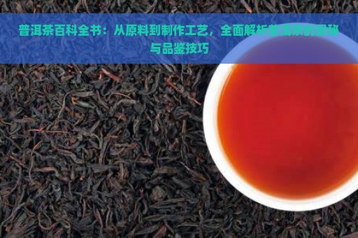 普洱茶百科全书：从原料到制作工艺，全面解析普洱茶的奥秘与品鉴技巧