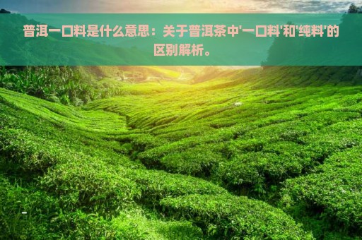 普洱一口料是什么意思：关于普洱茶中'一口料'和'纯料'的区别解析。