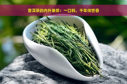 普洱茶的内外兼修：一口料，千年传世香