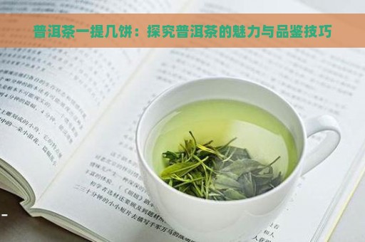 普洱茶一提几饼：探究普洱茶的魅力与品鉴技巧