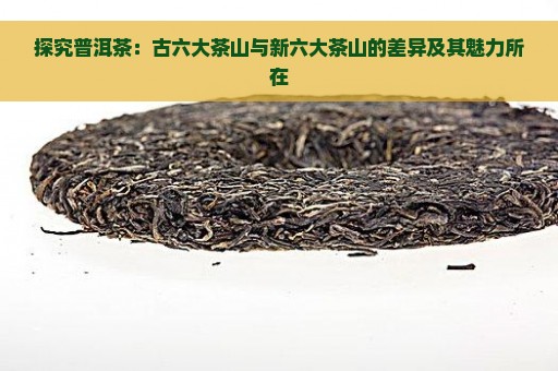 探究普洱茶：古六大茶山与新六大茶山的差异及其魅力所在