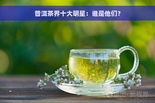 普洱茶界十大明星：谁是他们？