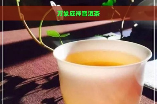 万象成祥普洱茶