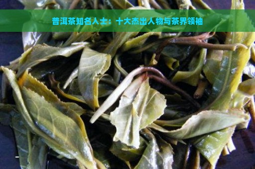 普洱茶知名人士：十大杰出人物与茶界领袖