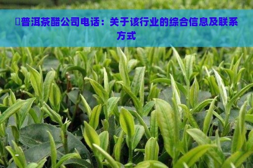 氼普洱茶醋公司电话：关于该行业的综合信息及联系方式