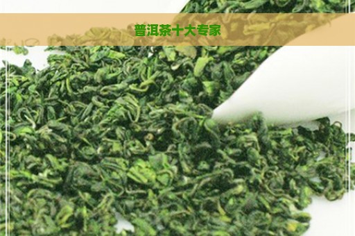 普洱茶十大专家