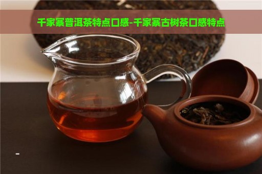 千家寨普洱茶特点口感-千家寨古树茶口感特点